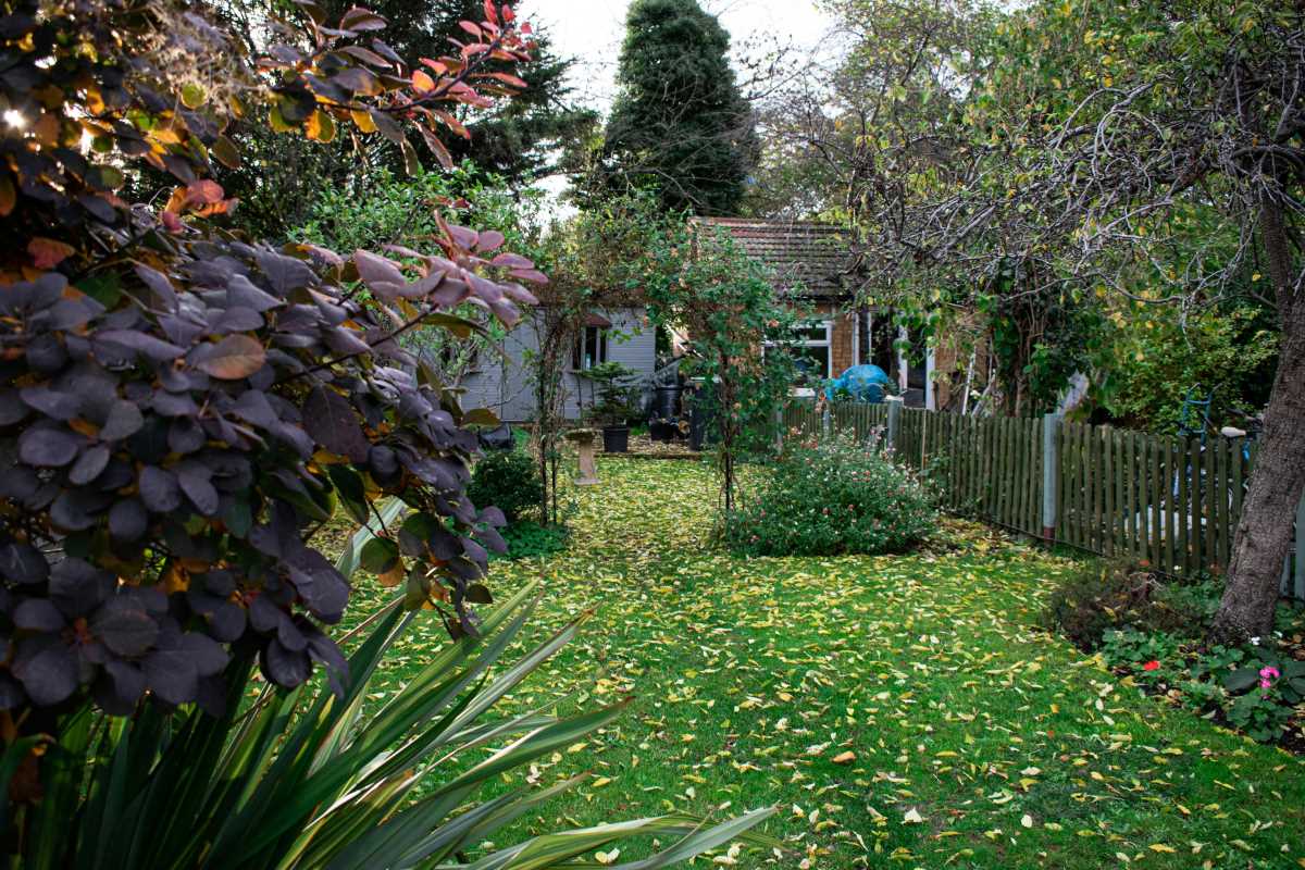 5 Best Plants for Creating a Low-Maintenance Family Garden