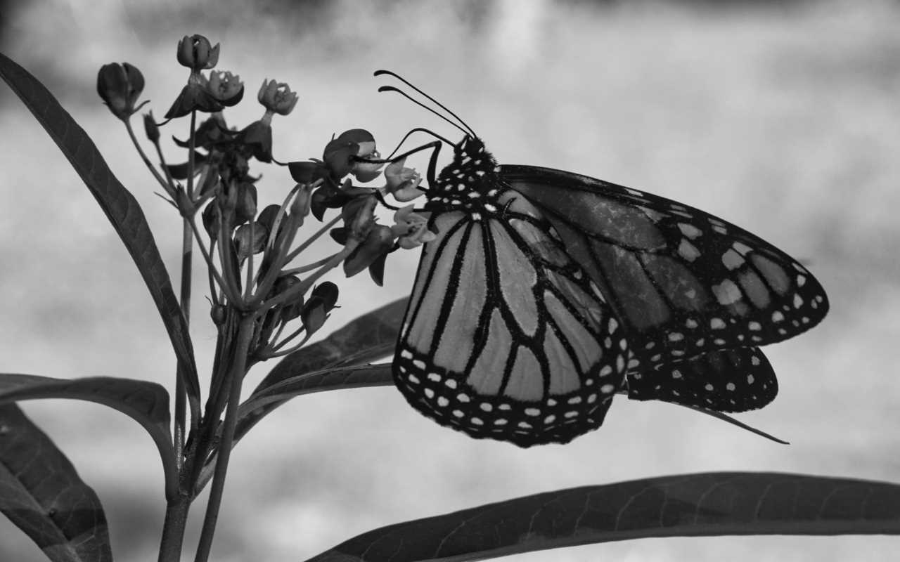 Expert Tips on Surviving Major Life Transitions