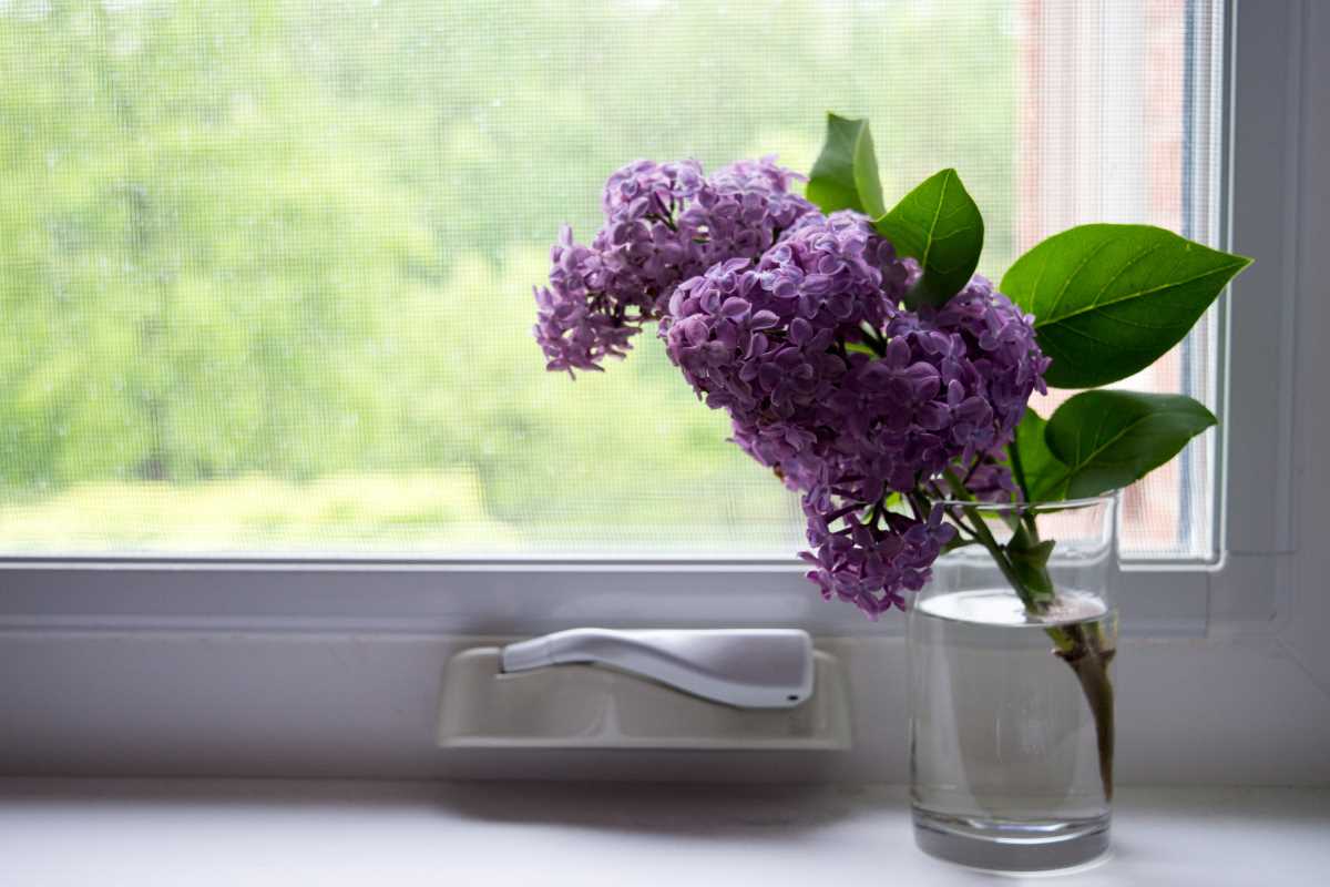 The Power of Scent in Making Your Home More Welcoming